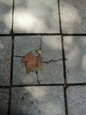 Прикрепленное изображение: IMG_20190928_114056.jpg